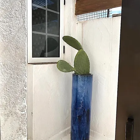 Casa Mialma Lanzarote Conil