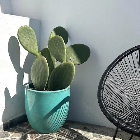 Casa Mialma Lanzarote